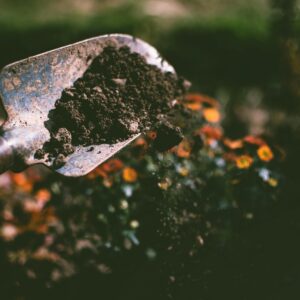 Fertilizers & Soil Amendments